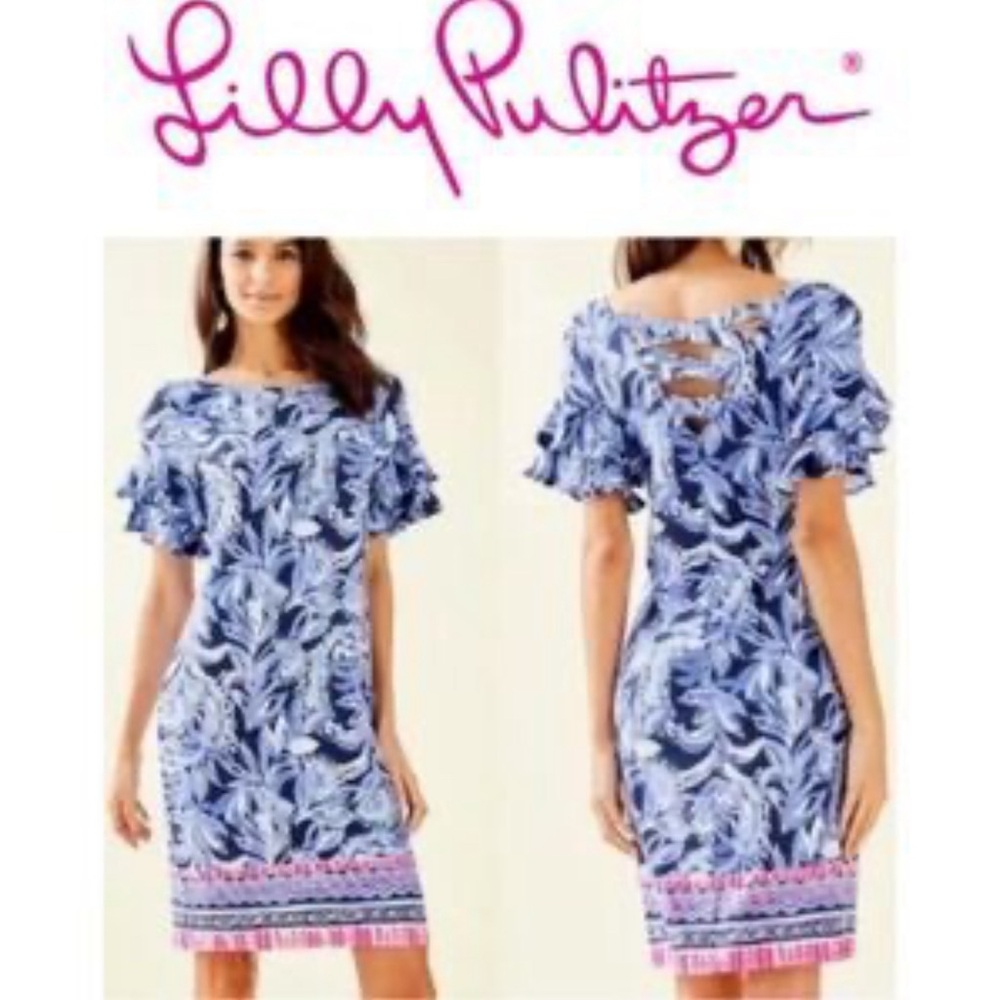 Lilly Pulitzer Diana Rafael sleeve dress 💙🩷
